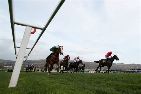 mares novices' hurdle odds|Mares Novices Hurdle Preview, Tips, Runners & Trends (Chelten.